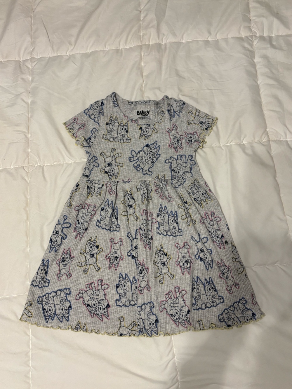 Bluey Dress 4T